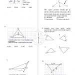 8.Sınıf Üçgenin Yardımcı Elemanları Testi