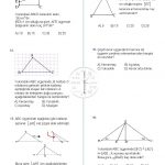 8.Sınıf Üçgenin Yardımcı Elemanları Testi