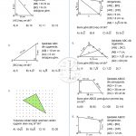 8.Sınıf Pisagor Bağıntısı Testi