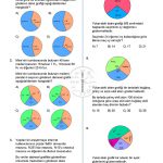 8.Sınıf Veri Analizi Daire Grafiği Testi