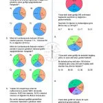 8.Sınıf Veri Analizi Daire Grafiği Testi