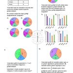 8.Sınıf Veri Analizi Daire Grafiği Testi
