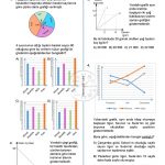 8.Sınıf Veri Analizi Çizgi ve Sütun Grafiği Testi