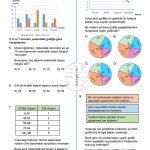 8.Sınıf Veri Analizi Çizgi ve Sütun Grafiği Testi