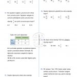 8.Sınıf Basit Olayların Olma Olasılığı Testi