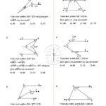 7.Sınıf Doğrular ve Açılar Testi 3