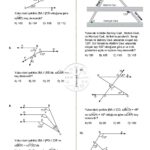 7.Sınıf Doğrular ve Açılar Testi 3