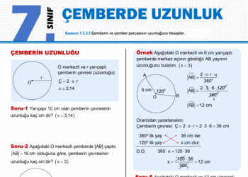 7.Sınıf Çemberin Çevre Uzunluğu Çalışma Kağıdı