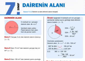 7.Sınıf Dairenin Alanı Çalışma Kağıdı