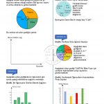 8.Sınıf Veri Analizi Çalışma Kağıdı