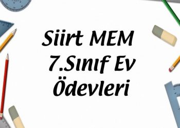 Siirt MEM 7.Sınıf Ev Ödevleri