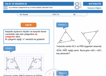 8.Sınıf Eşlik ve Benzerlik Çalışma Kağıdı