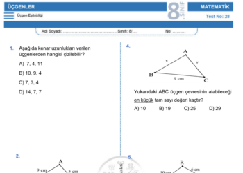 8.Sınıf Üçgen Eşitsizliği Testi