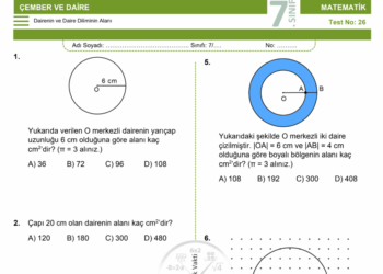 7.Sınıf Dairenin Alanı Testi