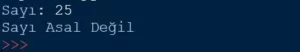 Python ile Asal Sayı Bulma