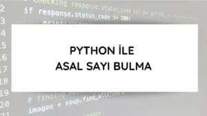 Python ile Asal Sayı Bulma