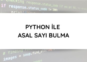 Python ile Asal Sayı Bulma