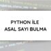 Python ile Asal Sayı Bulma