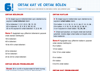 6.Sınıf Ortak Bölen Ortak Kat Çalışma Kağıdı