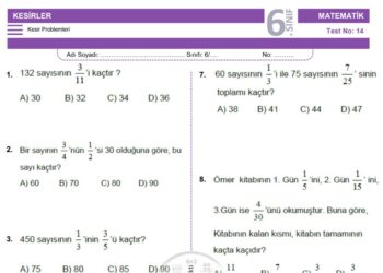 6.Sınıf Kesir Problemleri Testi
