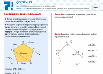 7.Sınıf Çokgenler Çalışma Kağıdı