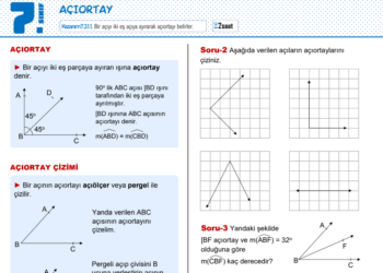 7.Sınıf Doğrular ve Açılar Çalışma Kağıdı 1