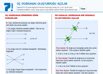 7.Sınıf Doğrular ve Açılar Çalışma Kağıdı 2