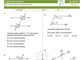 7.Sınıf Doğrular ve Açılar Testi 2