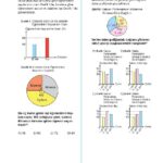 8.Sınıf Veri Analizi MEB Çıkmış Sorular (Bursluluk - TEOG)
