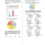 8.Sınıf Veri Analizi MEB Çıkmış Sorular (Bursluluk - TEOG)