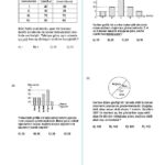 8.Sınıf Veri Analizi MEB Çıkmış Sorular (Bursluluk - TEOG)