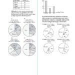 8.Sınıf Veri Analizi MEB Çıkmış Sorular (Bursluluk - TEOG)