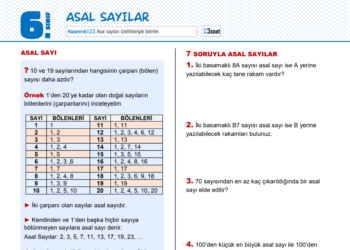6.Sınıf Asal Sayılar ve Asal Çarpanlar Çalışma Kağıdı
