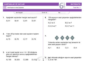 6.Sınıf Asal Sayılar ve Asal Çarpanlar Testi