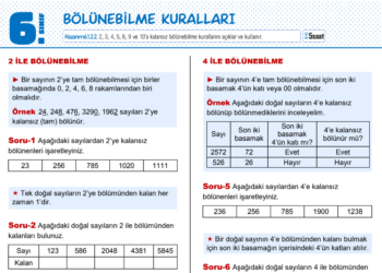 6.Sınıf Bölünebilme Kuralları Çalışma Kağıdı