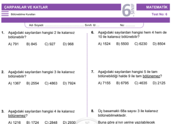 6.Sınıf Bölünebilme Kuralları Testi