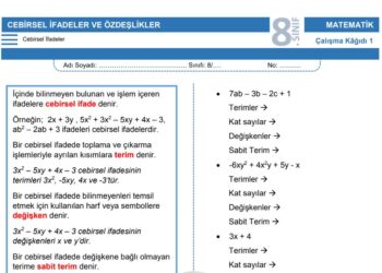 8.Sınıf Cebirsel İfadeler Çalışma Kağıdı