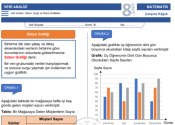 8.Sınıf Veri Analizi Çalışma Kağıdı