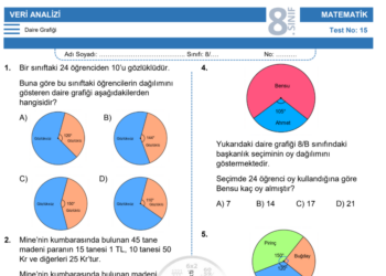 8.Sınıf Veri Analizi Daire Grafiği Testi
