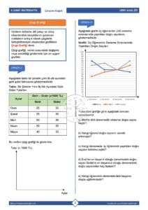 8.Sınıf Veri Analizi Çalışma Kağıdı