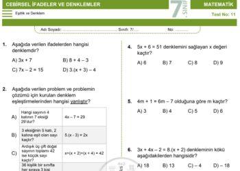7.Sınıf Denklemler Testi