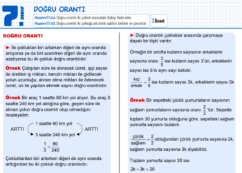 7.Sınıf Doğru ve Ters Orantı Çalışma Kağıdı