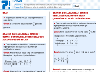 7.Sınıf Oran ve Orantı Çalışma Kağıdı