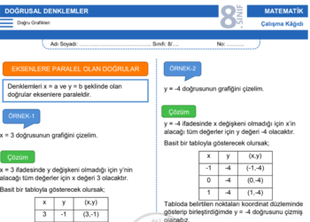 8.Sınıf Doğrusal Denklemler ve Grafikleri Çalışma Kağıdı