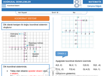 8.Sınıf Koordinat Sistemi Çalışma Kağıdı