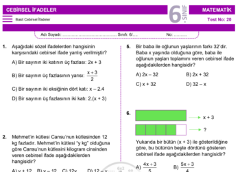 6.Sınıf Cebirsel İfadeler Testi