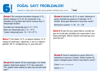 6.Sınıf Doğal Sayı Problemleri Çalışma Kağıdı