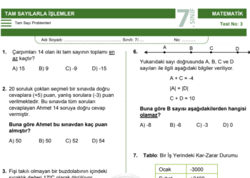 7.Sınıf Tam Sayı Problemleri Testi