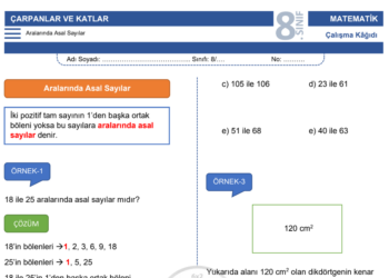 8.Sınıf Aralarında Asal Sayılar Çalışma Kağıdı