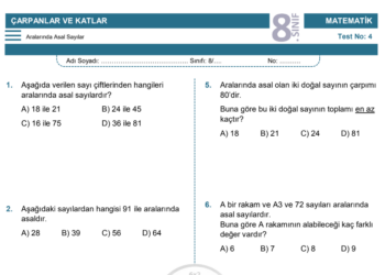 8.Sınıf Aralarında Asal Sayılar Testi